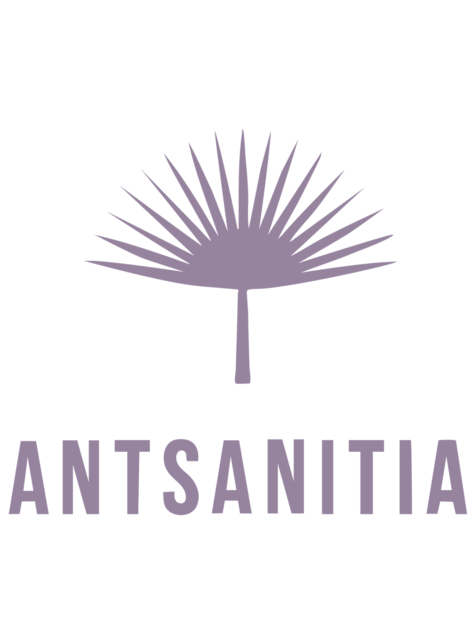 Antsanitia